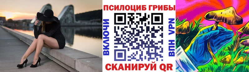 Купить  Далматово  Галлюциногенные грибы GOLDEN TEACHER 